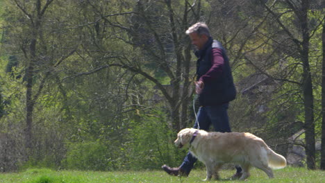 Un-Hombre-Maduro-Lleva-A-Su-Perro-A-Pasear-Por-El-Campo-Filmado-En-R3d