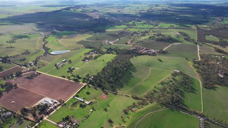 landscape of lush green fields and plantations in barossa valley, south australia - aerial shot