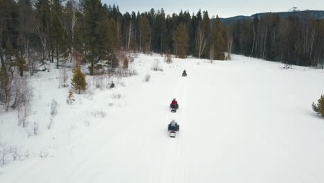 snowmobiling in a winter forest