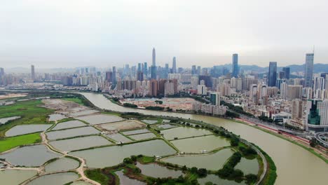 aerial view over shenzhen cityscape with massive urban development and skyscrapers