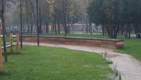 rainy park scene