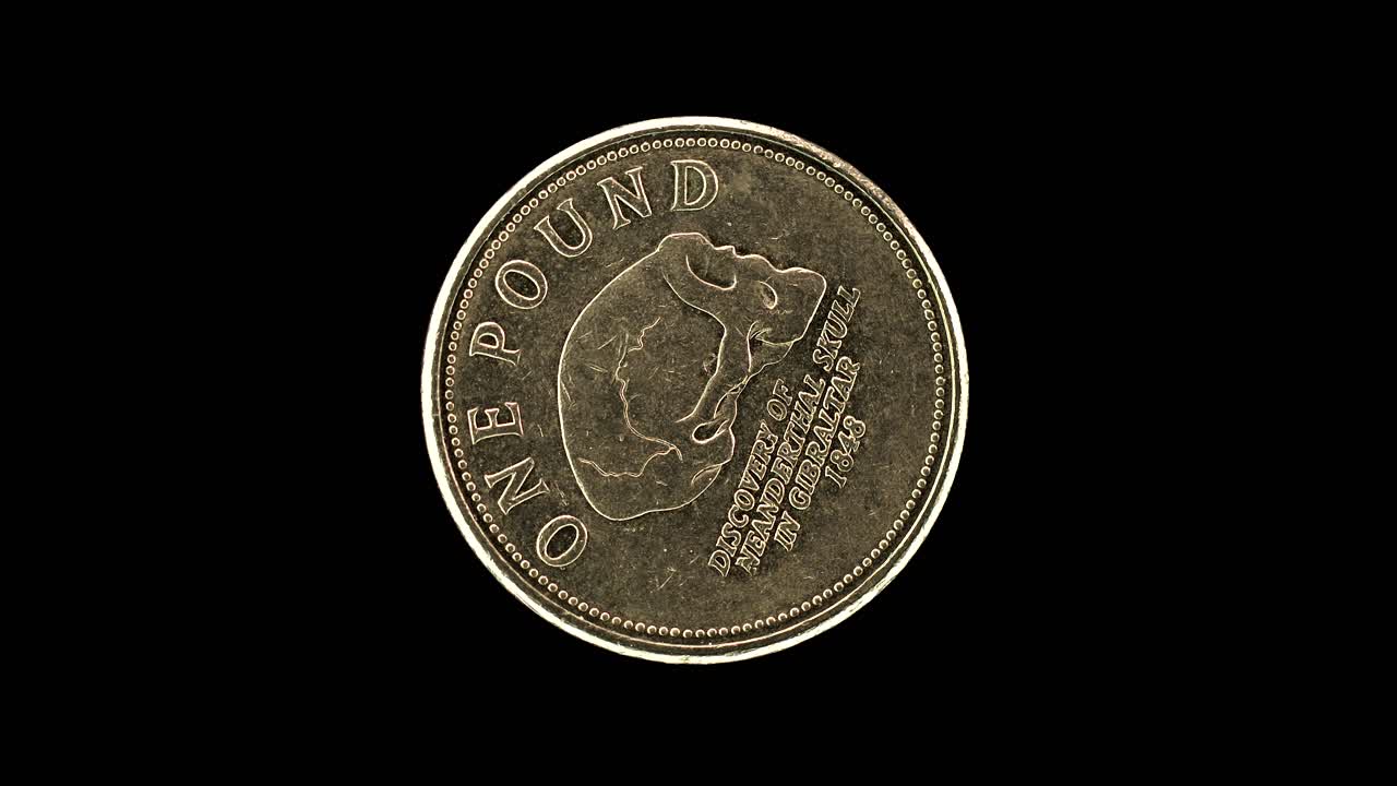 Gibraltar 2013 one pound coin reverse with Neanderthal skull commemorative design rotating on black background