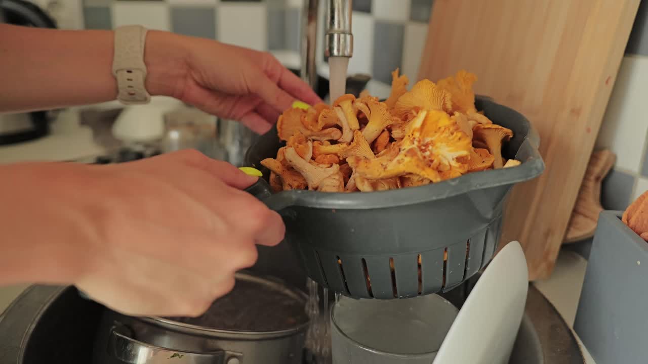 Freshly picked chanterelles being rinsed under running tap water in kitchen