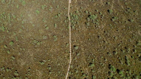 Backpacker-walking-in-peat-bog-marsh