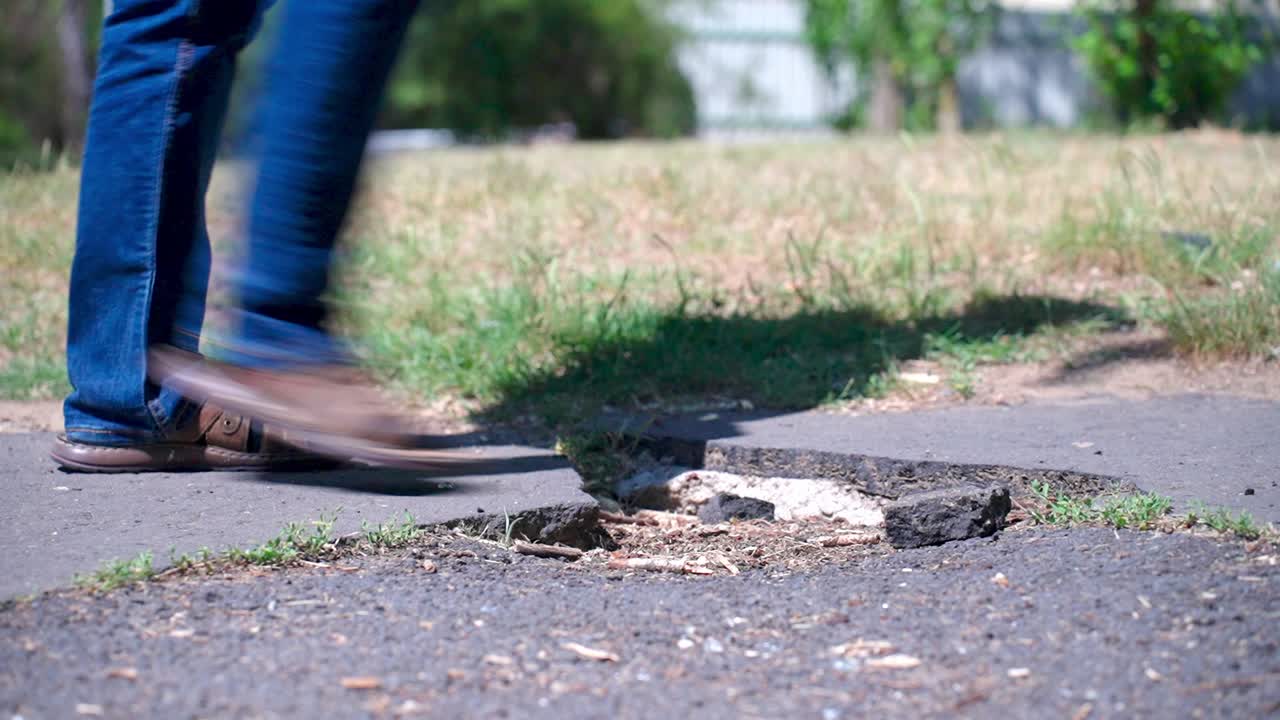 Close-up of a cracked section of a sidewalk in a park