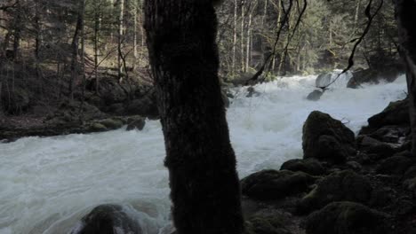 Whitewater-flowing-rapidly-down-river-stream-in-forest