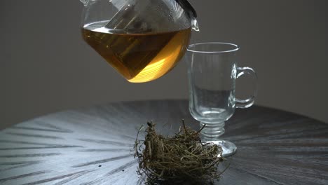 verter té de cerasee en un vaso planta de melón amargo de kerala con kerala colgando de las vides utilizado para hacer té de hierbas saludable bueno para la pérdida de peso