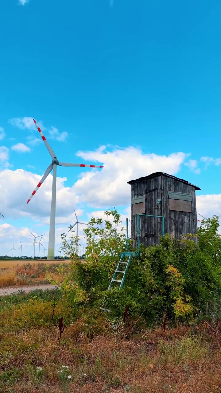 Turbine eoliche accanto a una struttura in legno. Una struttura in legno si trova in un campo con turbine eoliche sullo sfondo in una giornata di sole. La scena mostra cieli sereni.