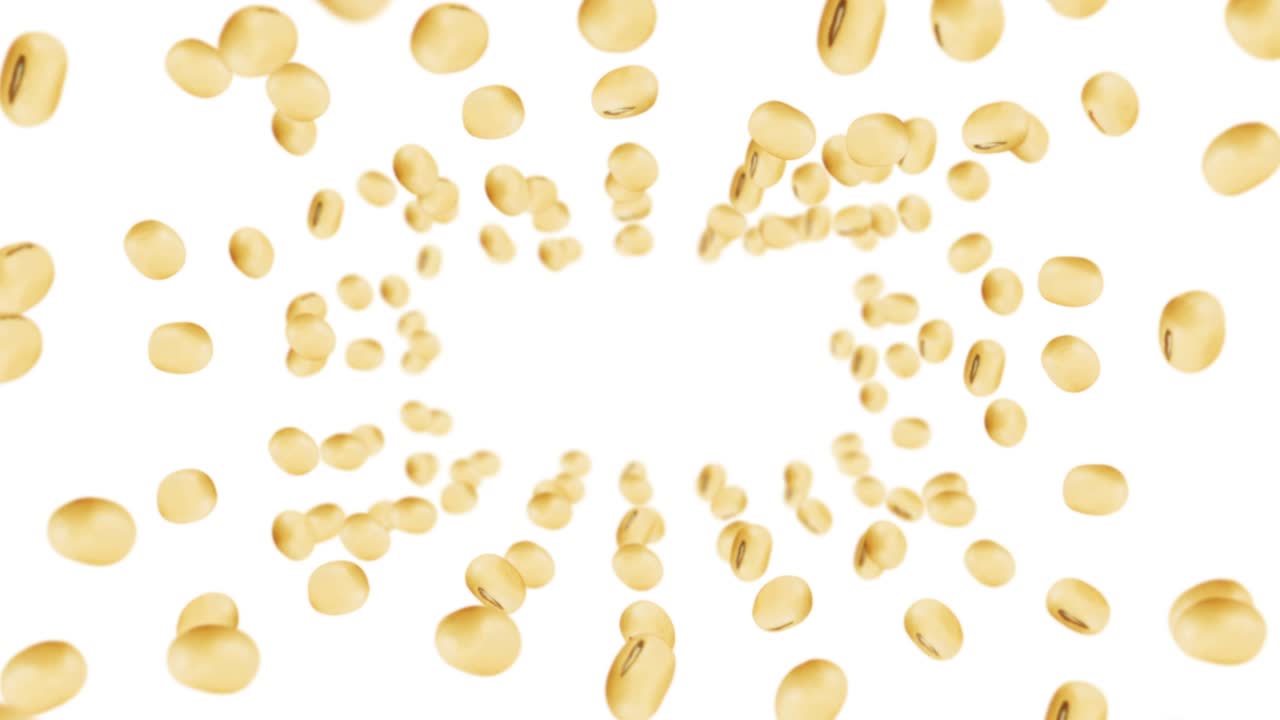 색 배경에 많은 콩을 날아. 밝은 갈색 곡물. 콩과 콩. 건강한 음식. 콩이 회전하는 3d 루프 애니메이션.