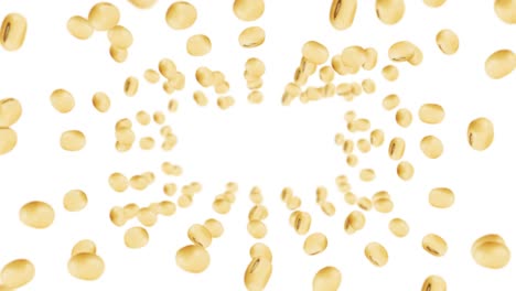 volando muchas soja en fondo blanco. granos marrones claros. soja y soja. comida saludable. animación de bucle 3d de soja girando.