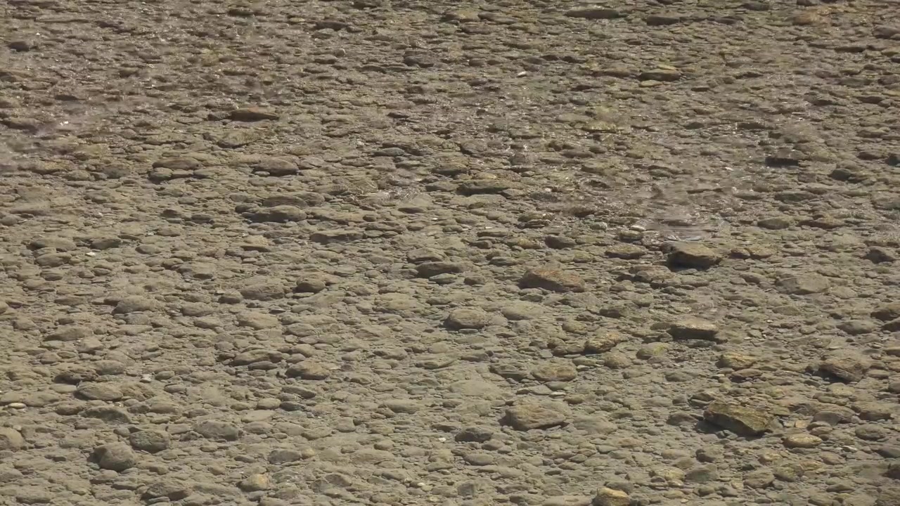Clear Water Flowing Over Riverbed Rocks