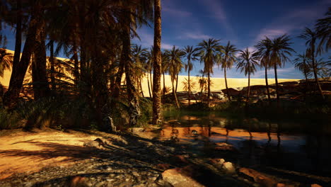 palm trees lining a tranquil oasis in a desert landscape during sunset