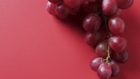video de uvas rojas con espacio de copia en fondo rojo