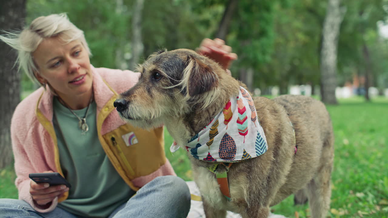 Dog Standing in Park as Woman Petting Him and Checking Smartphone