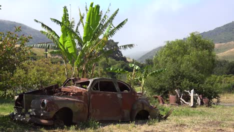 un auto viejo se encuentra abandonado y oxidado en un rancho en las montañas de santa ynez de california