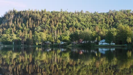 Herrlicher-Blick-Auf-Das-Cottage-Land-Am-See-Mit-Einem-Vogel,-Der-Durch-Den-Rahmen-Fliegt