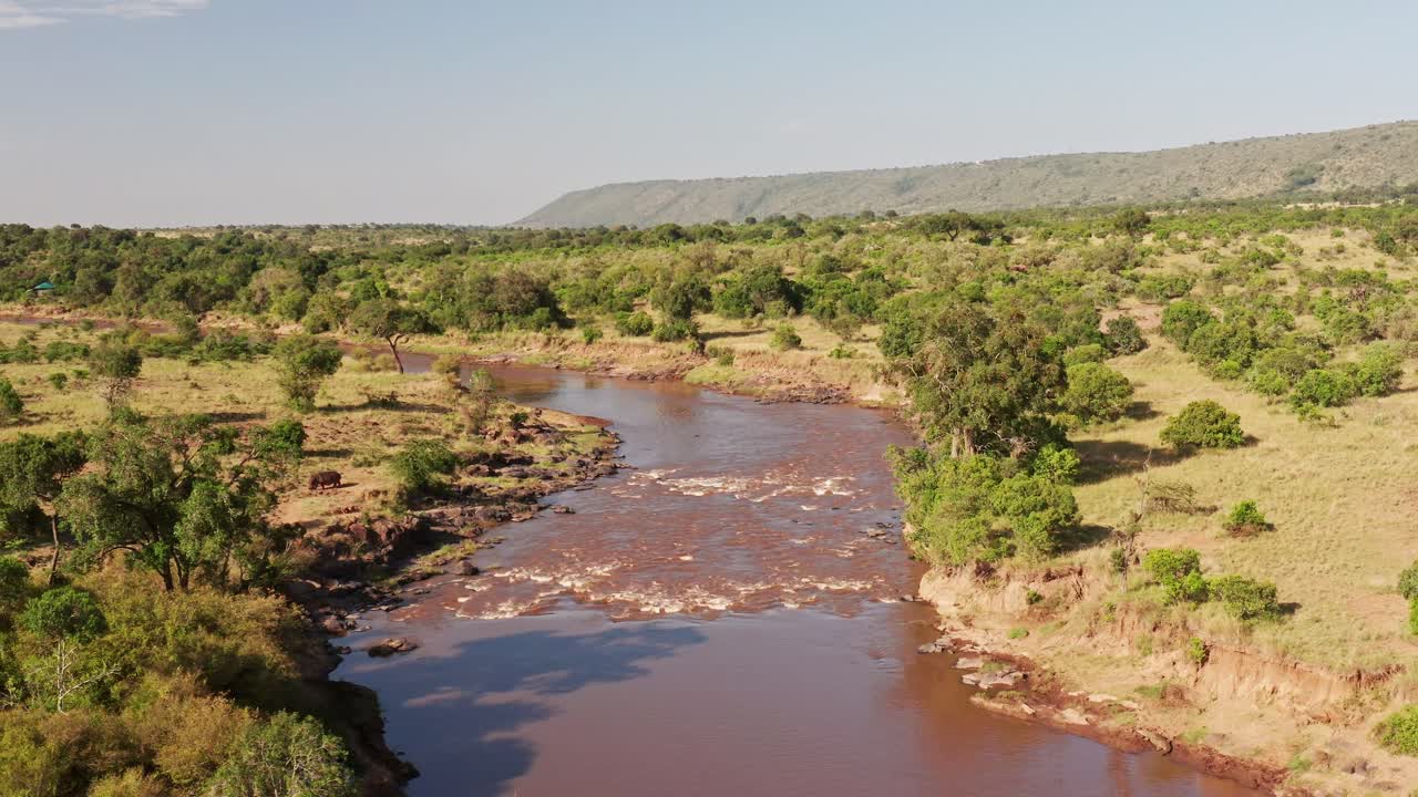 tomada aérea de drones del paisaje del río masai mara serpenteando en un hermoso paisaje en la reserva nacional masai mara en kenia, áfrica, amplia toma de establecimiento con vegetación y árboles verdes exuberantes