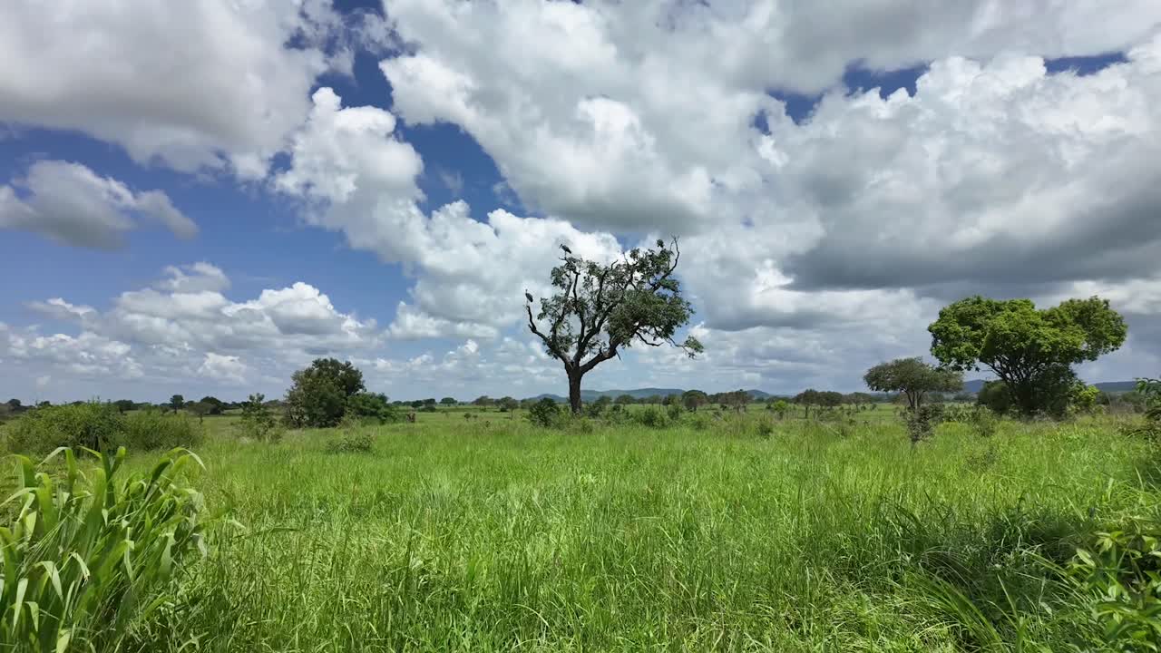 Time lapse clouds casting shadows across Mikumi national park conservation wilderness in Tanzania
