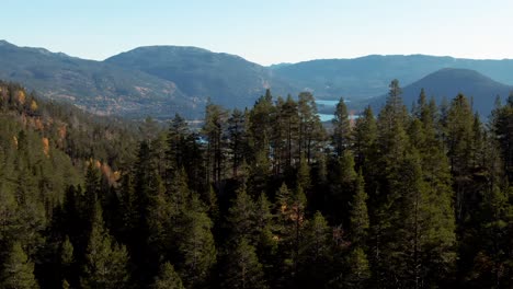 Drone-shot-revealing-a-Norwegian-mountain-valley-with-lakes-and-pine-trees