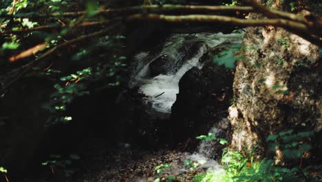 Close-up-small-waterfall-in-a-forest-with-moss-and-grass-around-and-a-tree-laying-above