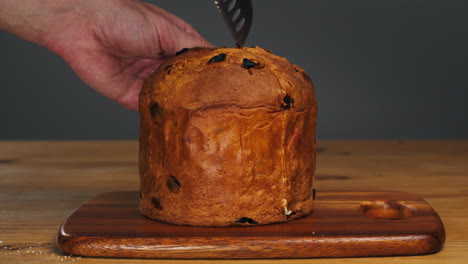 traditional english christmas cake tied with a jute thread on the black background. italian classic panettone .pastry chef sprinkles powdered sugar through a sieve on the fruit easter cake with raisins. high quality 4k footage