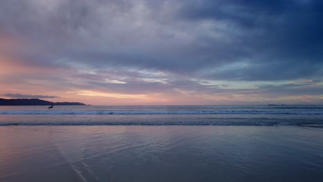 Austernfischervögel-Auf-Der-Suche-Nach-Nahrung-Am-Strand-Von-Spirits-Bay-–-Luftaufnahme