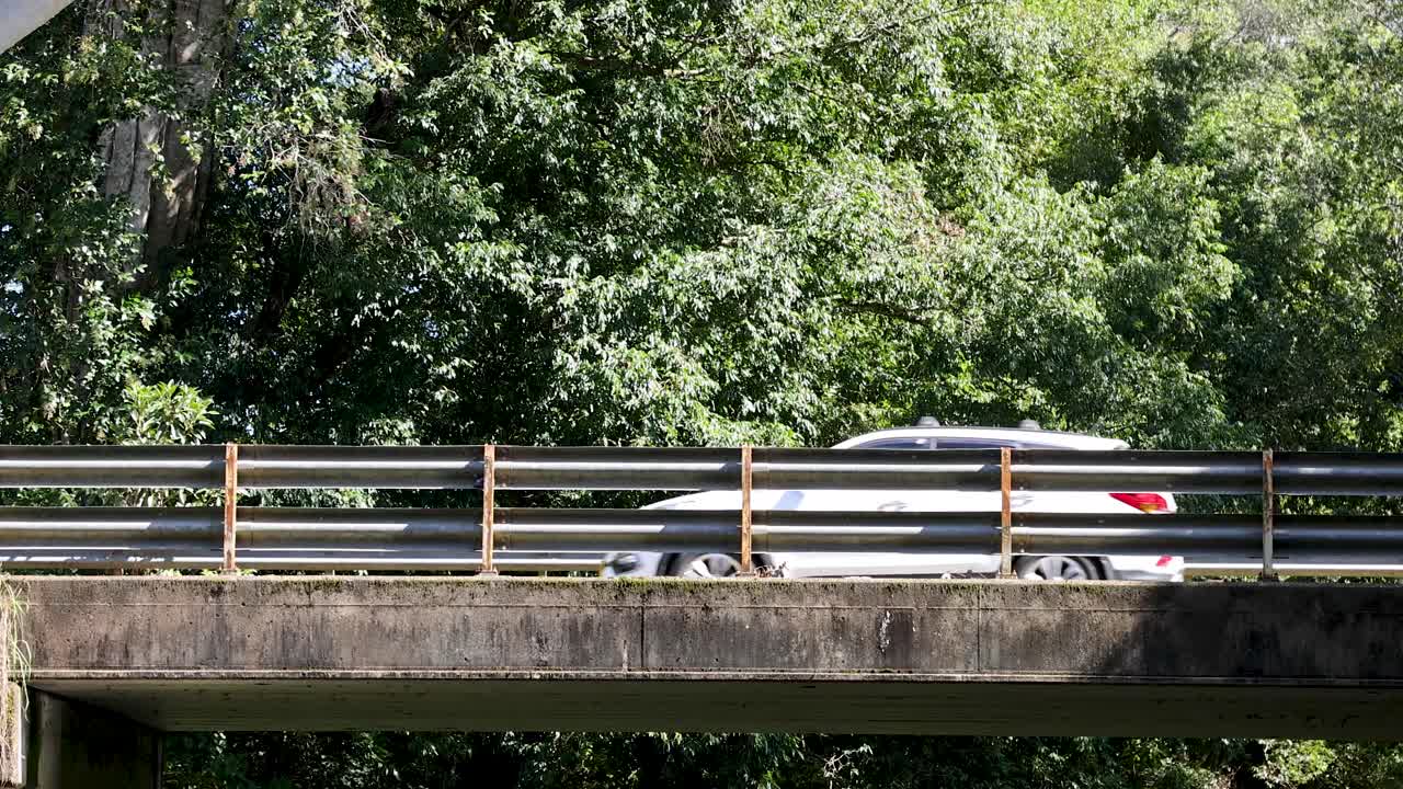 White SUV crosses concrete bridge over creek, surrounded by dense green forest, daylight, static camera