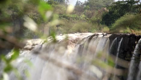 Fuente-De-Agua-Del-Nilo-Azul-Cae-De-Cerca-A-Través-De-Las-Ramas-De-Los-árboles