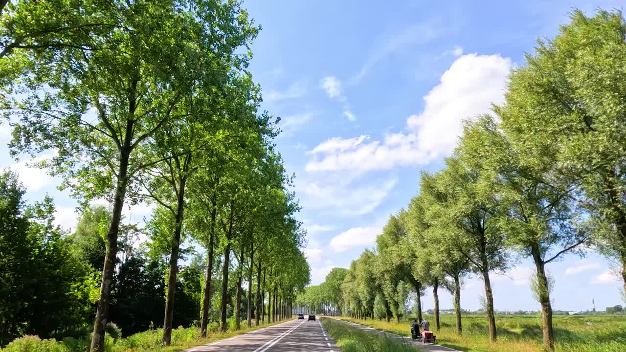 Sunny drive along rural Dutch road lined with tall green trees, blue sky, and clouds