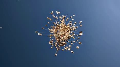 abstract gold explosion on blue background