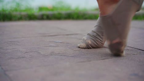카니발 브라질