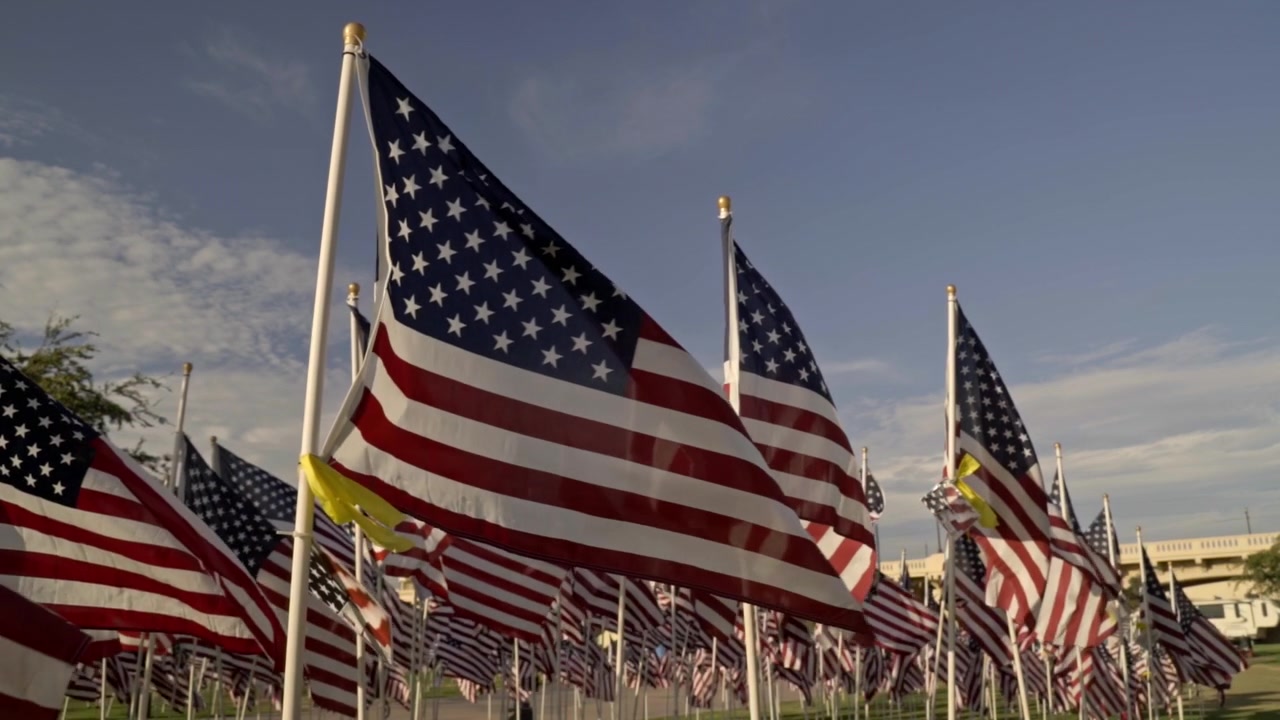 Decine di bandiere americane sventolano vigorosamente al vento contro un cielo blu in un parco commemorativo all'aperto. L'esposizione patriottica trasmette un senso di onore e ricordo in questa inquadratura statica dal basso.