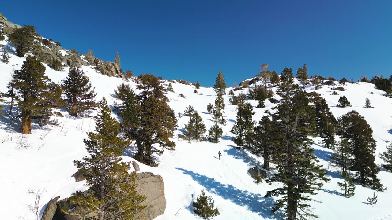 vista aérea de un excursionista caminando por el terreno boscoso nevado, carson pass, california