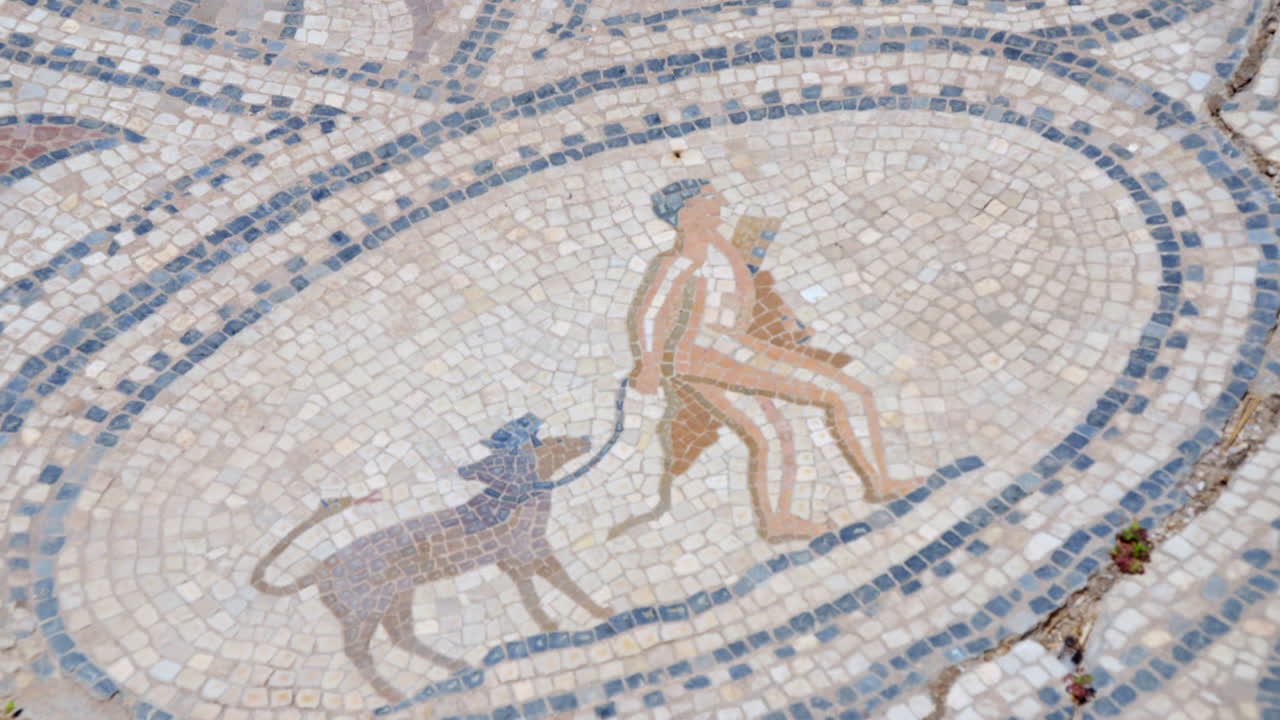 sumérgete en la intrincada belleza del antiguo arte de azulejos con un cautivador zoom en las exquisitas ruinas de volubilis en meknes, marruecos