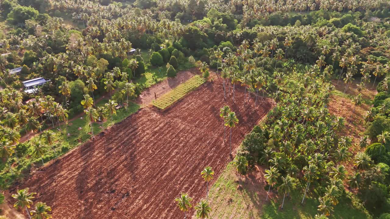 High aerial drone view of tropical farmland showing a large section of freshly tilled, rich red earth next to a small cultivated plot. Surrounded by dense palm trees and scattered houses