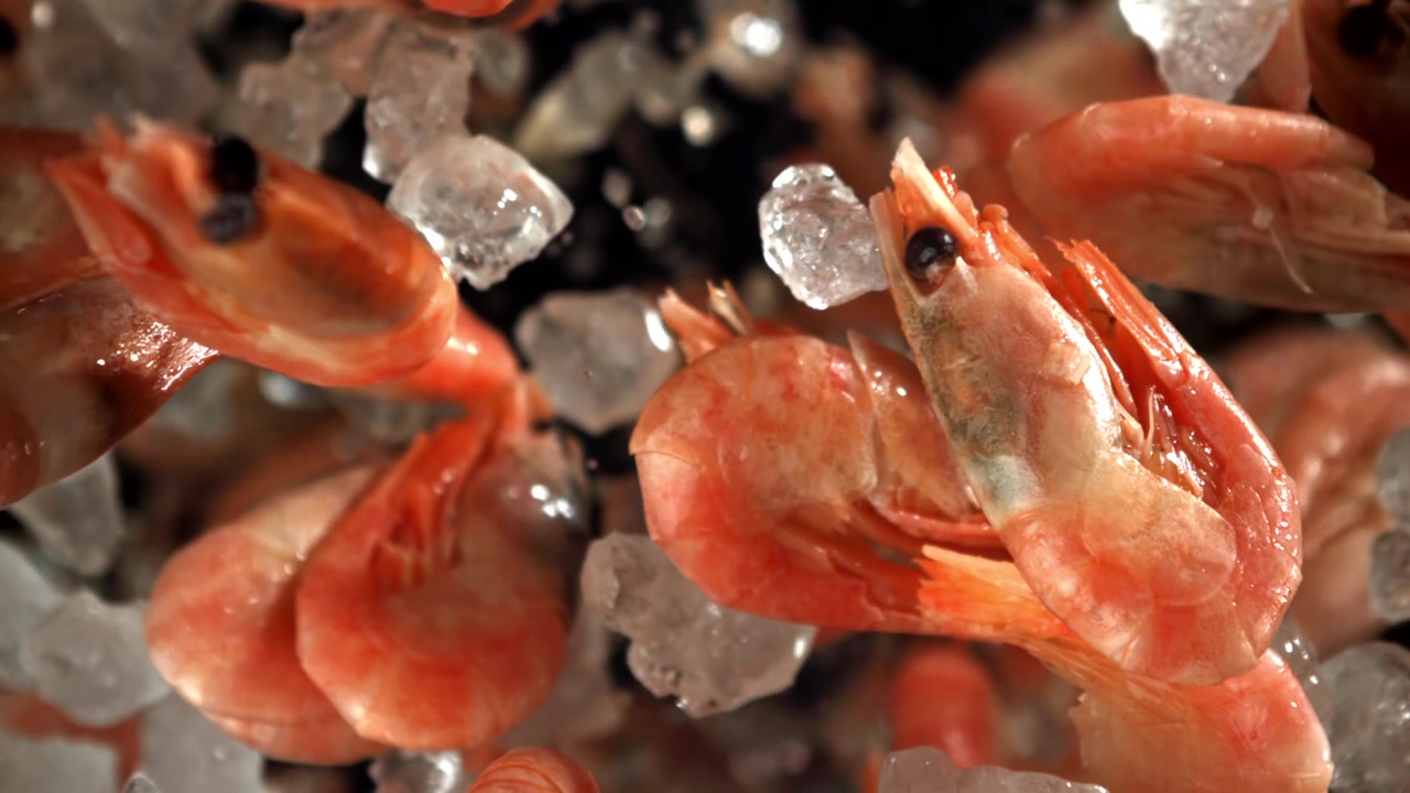 Frische gekochte Garnelen und Eiswürfel fallen in Zeitlupe