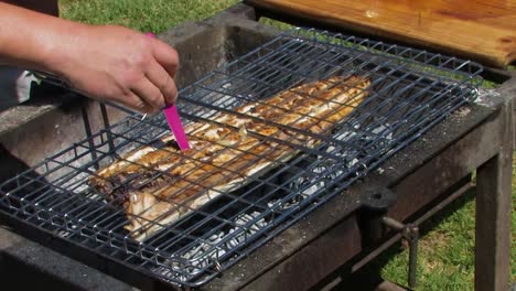 Grillen-Von-Fisch-Auf-Dem-Braai-Oder-Barbecue