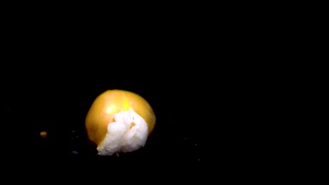 a maize or corn popping and exploding by releasing oils to a popcorn in slow motion on a black background