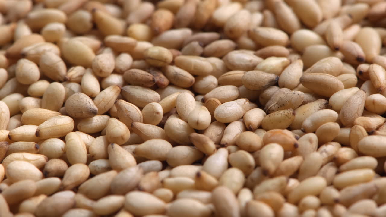 Closeup of white sesame seeds. Food ingredient concept.