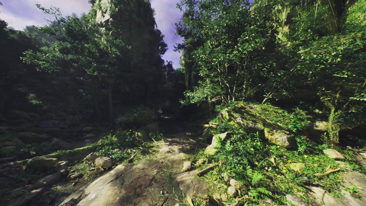 Retraite lumineuse en forêt, clairière paisible entourée par la nature