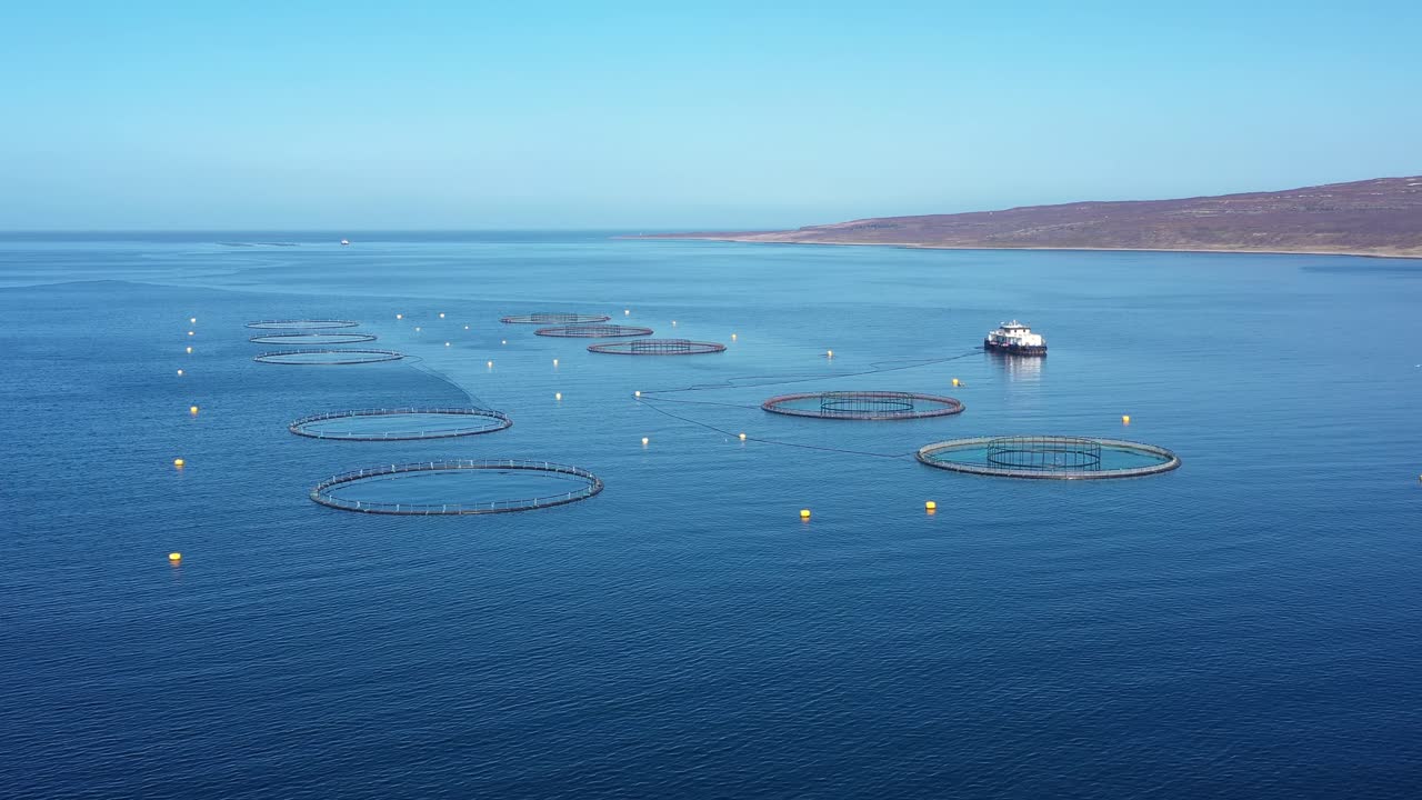 노르웨이에서 연어  ⁇ 시를 하는 공중 촬영
