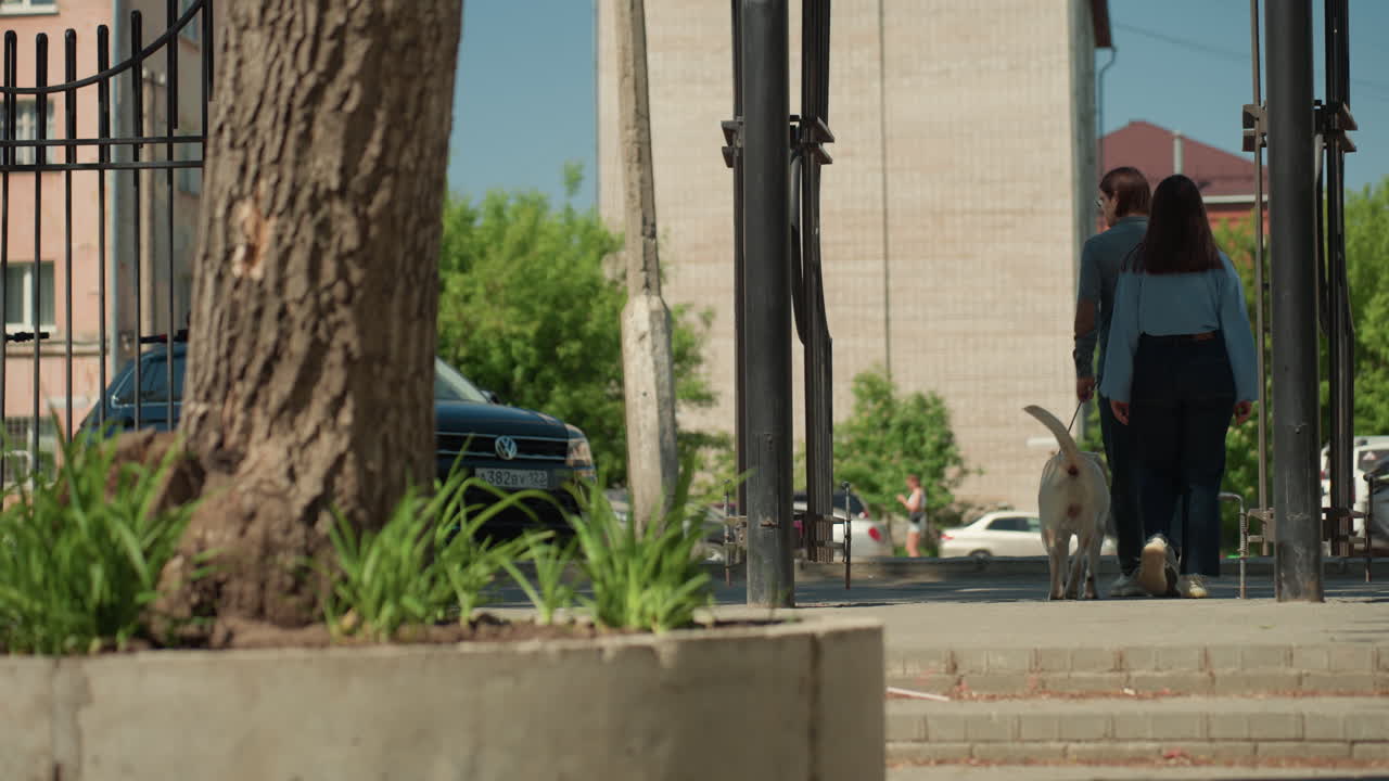 pareja paseando al perro por una acera soleada, una joven pareja pasea junto a una verja de hierro y un árbol, correa en mano, conjuntos informales de tela vaquera, perro blanco, coche aparcado al fondo, luz de verano, ambiente relajado en el barrio