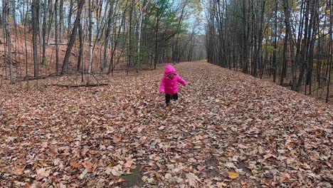 Niña-Pequeña-Con-Chaqueta-Con-Capucha-Rosa-Corre-Hacia-Y-Pasa-La-Cámara-A-Lo-Largo-De-Un-Camino-Cubierto-De-Hojas-En-El-Bosque-A-Cámara-Lenta