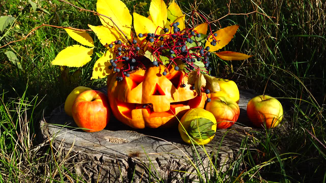 Straszna dynia halloweenowa. Potwór siedzi na pniu drzewa. Nagrywanie w październiku.