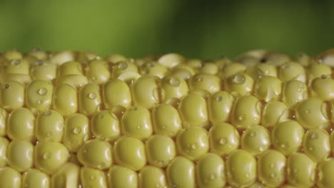 close-up of wet corn kernels