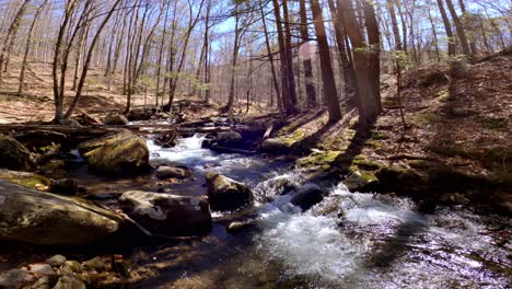 a beautiful mountain stream during early spring, after snow melt, in the appalachian mountains