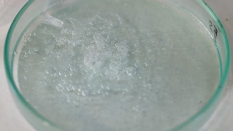 cristales que se forman en un experimento científico