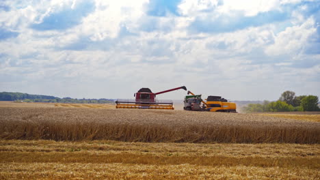 combine harvester cutting wheat. combine working on the large wheat field