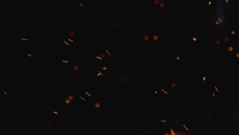 fogata en el bosque por la noche