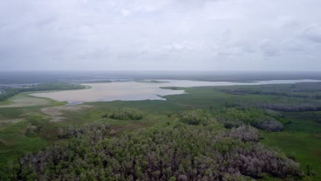 Aéreo:-Ecosistema-De-Vida-Silvestre-De-Humedales-Amazónicos-En-América-Del-Sur,-Volando-Hacia-El-Lago